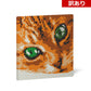 【訳あり(パッケージ不良)】パネル - 猫の目 01S-M01 (Black Friday 2025)